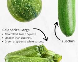 CALABACITA (MEXICAN SQUASH) MEX: