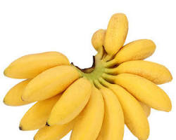 DOMINICO PLANTAIN (PLATANO DOMINICO):