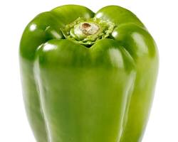 GREEN BELL PEPPER (PIMIENTO VERDE) MEX: 12CT