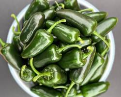 GREEN JALAPEÑO PEPPER (CHILE JALAPEÑO VERDE) MEX: