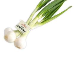 GREEN ONION (CEBOLLIN) MEX: 40CT