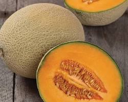 JUMBO CANTALOUPE (MELON JUMBO):