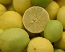 KEY LIME (LIMON CRIOLLO) MEX: 17-21LBS