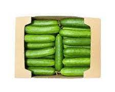 LARGE SELECT CUCUMBER (PEPINO L.S.) MEX: