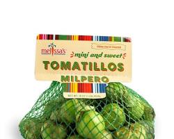 MILPERO TOMATILLO (TOMATILLO MILPERO) MEX: