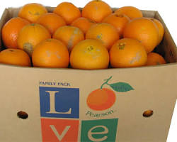 ORANGE BAG (NARANJA BOLSA) TX: 10LBS