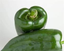 POBLANO PEPPER (CHILE POBLANO) MEX: 20LBS