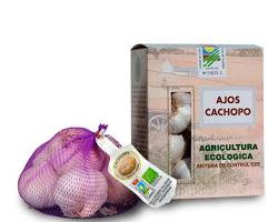 PURPLE GARLIC LOOSE (AJO MORADO): 30LBS