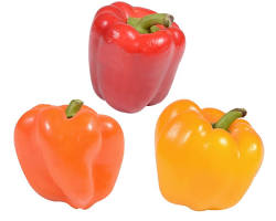 RED BELL PEPPER (PIMIENTO ROJO) MEX: 12CT