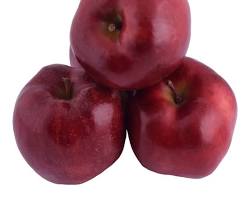 RED DELICIOUS APPLE (MANZANA RED): TICT