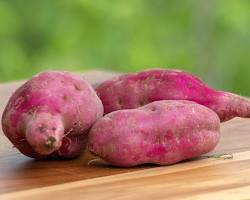 RED SWEET POTATO (CAMOTE ROJO):