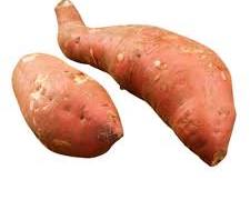 SWEET POTATO (YAM/CAMOTE AMARILLO):