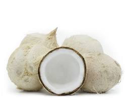 WHITE COCONUT (COCO BLANCO) MEX: 18CT