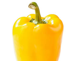 YELLOW BELL PEPPER (PIMIENTO AMARILLO):